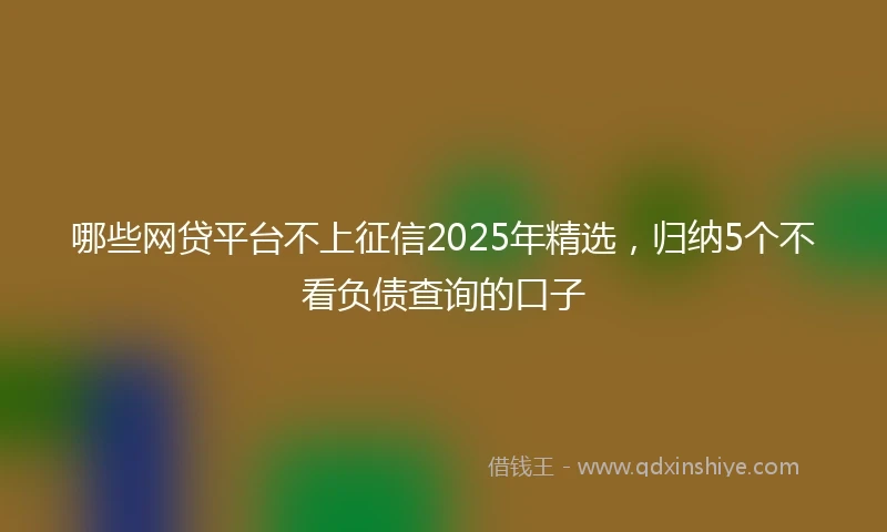 哪些网贷平台不上征信2025年精选，归纳5个不看负债查询的口子