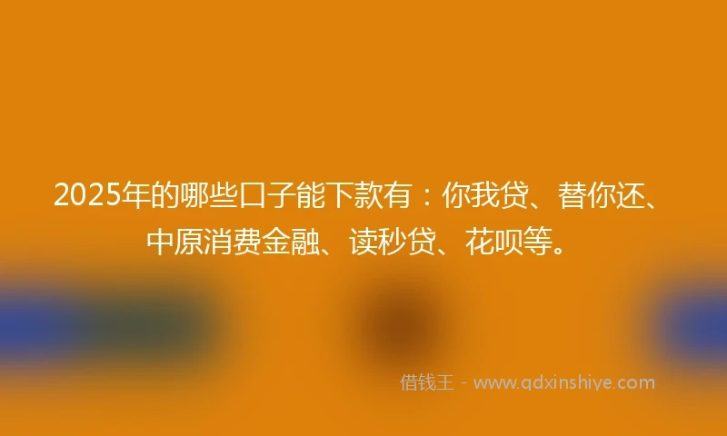 2025年的哪些口子能下款有：你我贷、替你还、中原消费金融、读秒贷、花呗等。