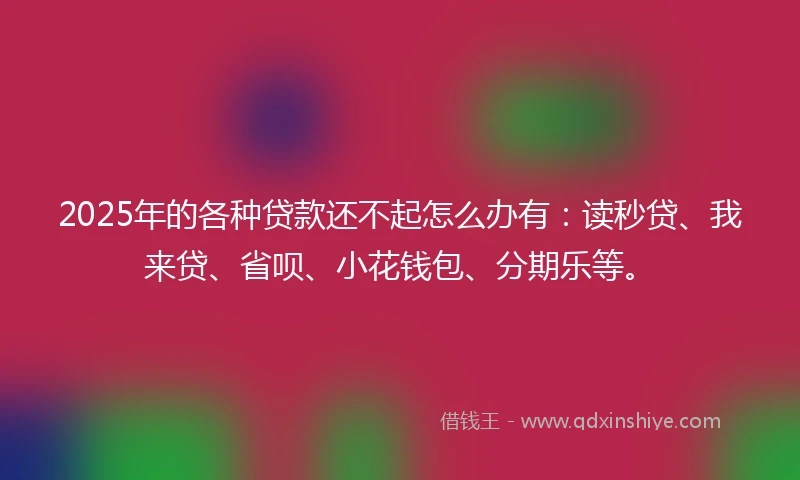 2025年的各种贷款还不起怎么办有：读秒贷、我来贷、省呗、小花钱包、分期乐等。