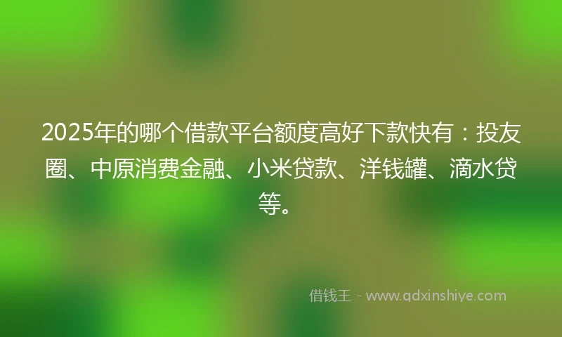 2025年的哪个借款平台额度高好下款快有：投友圈、中原消费金融、小米贷款、洋钱罐、滴水贷等。