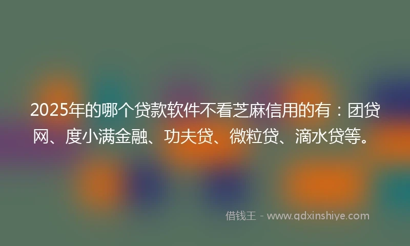 2025年的哪个贷款软件不看芝麻信用的有：团贷网、度小满金融、功夫贷、微粒贷、滴水贷等。