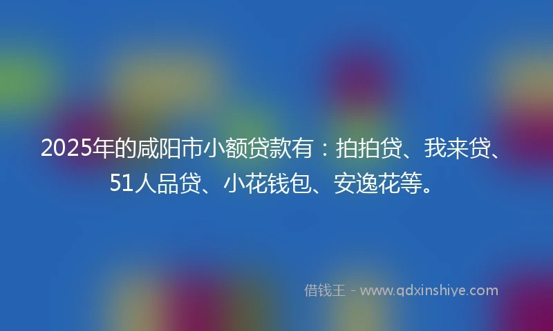 2025年的咸阳市小额贷款有：拍拍贷、我来贷、51人品贷、小花钱包、安逸花等。