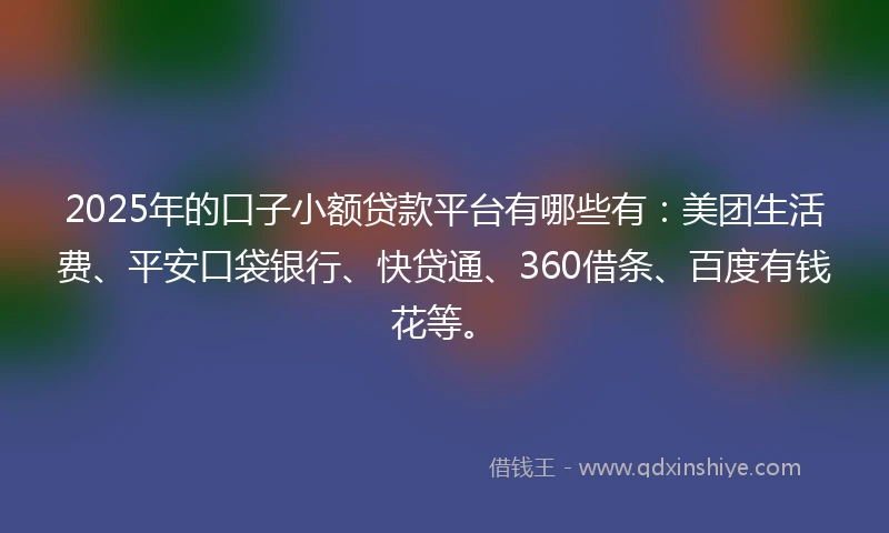 2025年的口子小额贷款平台有哪些有：美团生活费、平安口袋银行、快贷通、360借条、百度有钱花等。