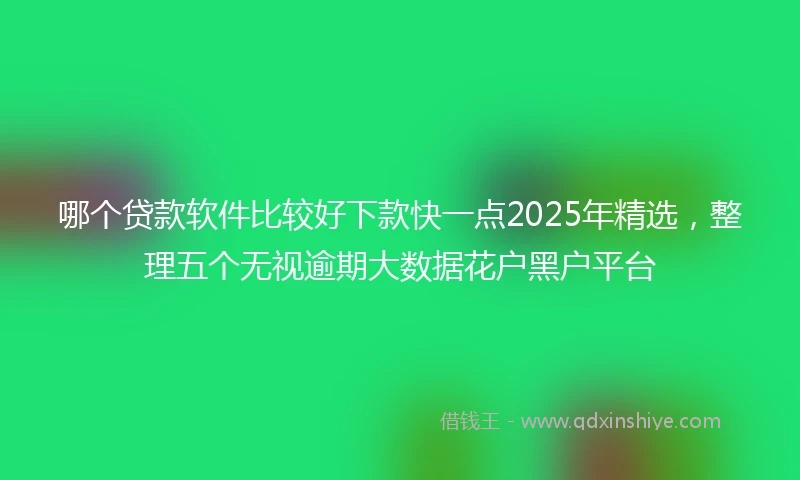 哪个贷款软件比较好下款快一点2025年精选，整理五个无视逾期大数据花户黑户平台