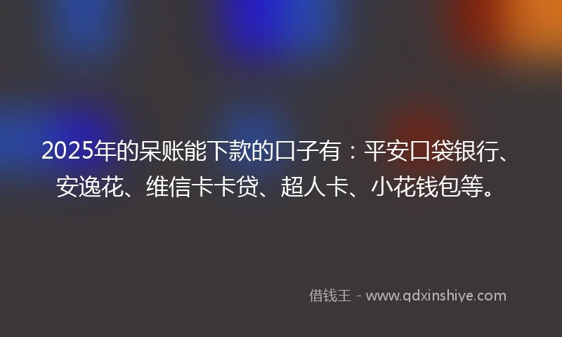 2025年的呆账能下款的口子有：平安口袋银行、安逸花、维信卡卡贷、超人卡、小花钱包等。