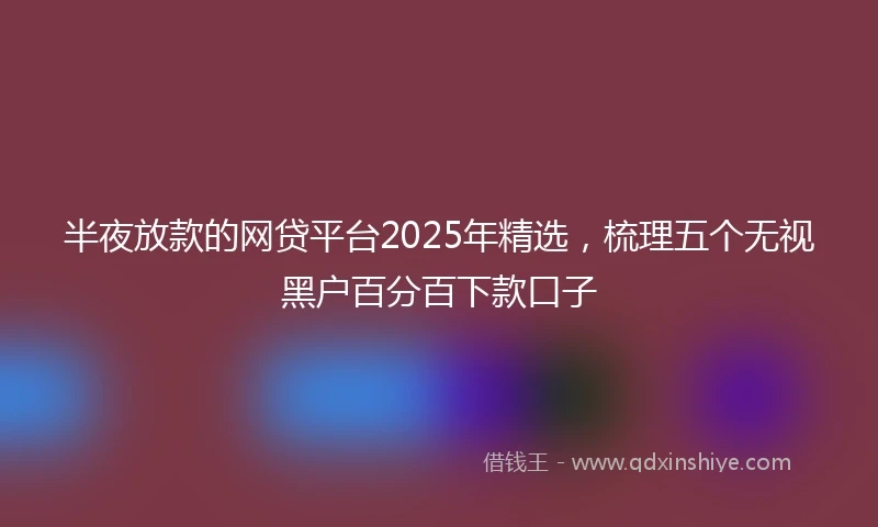 半夜放款的网贷平台2025年精选，梳理五个无视黑户百分百下款口子