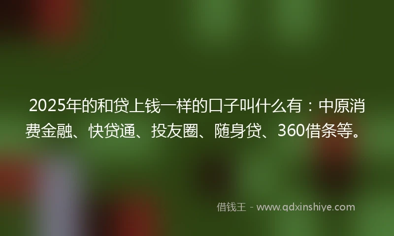 2025年的和贷上钱一样的口子叫什么有：中原消费金融、快贷通、投友圈、随身贷、360借条等。