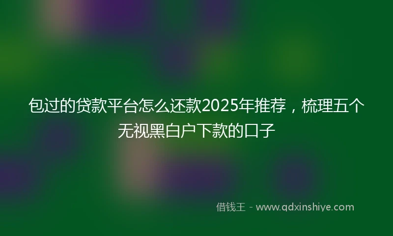 包过的贷款平台怎么还款2025年推荐，梳理五个无视黑白户下款的口子