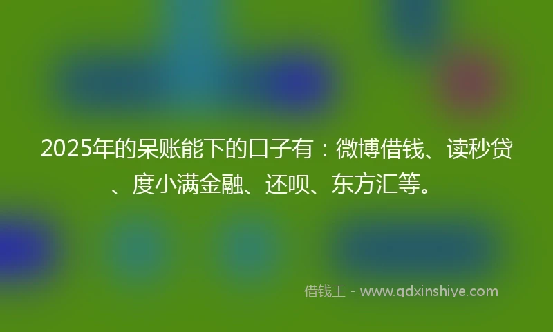 2025年的呆账能下的口子有：微博借钱、读秒贷、度小满金融、还呗、东方汇等。