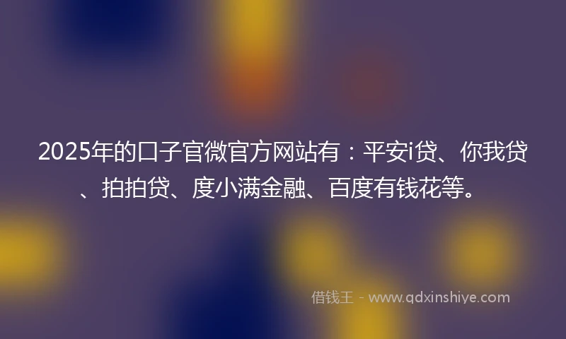 2025年的口子官微官方网站有：平安i贷、你我贷、拍拍贷、度小满金融、百度有钱花等。