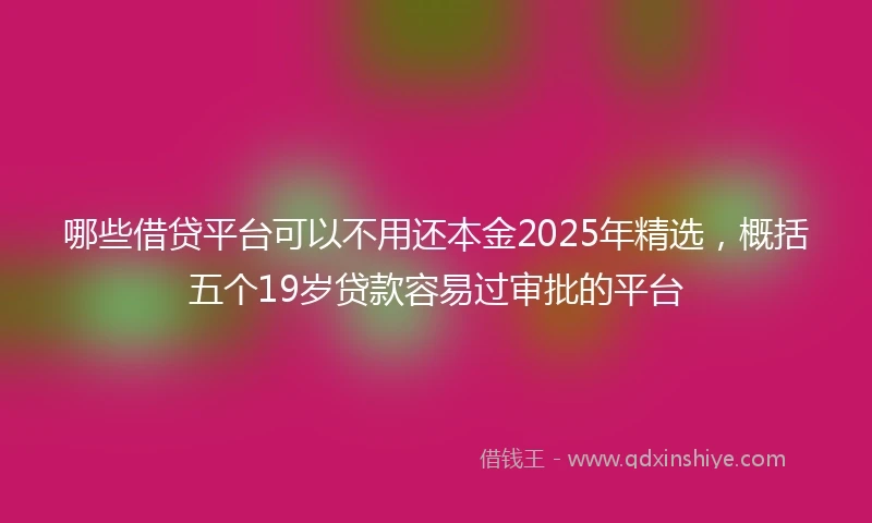 哪些借贷平台可以不用还本金2025年精选，概括五个19岁贷款容易过审批的平台