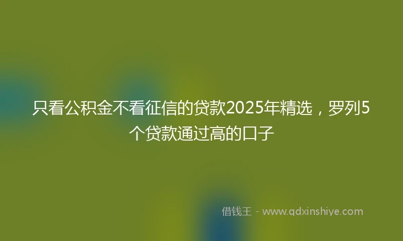 只看公积金不看征信的贷款2025年精选，罗列5个贷款通过高的口子