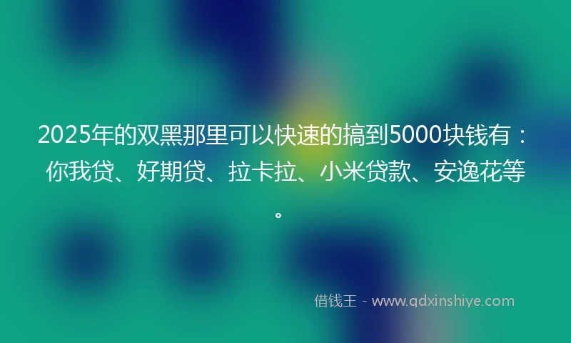 2025年的双黑那里可以快速的搞到5000块钱有：你我贷、好期贷、拉卡拉、小米贷款、安逸花等。