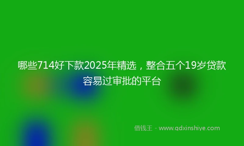 哪些714好下款2025年精选，整合五个19岁贷款容易过审批的平台