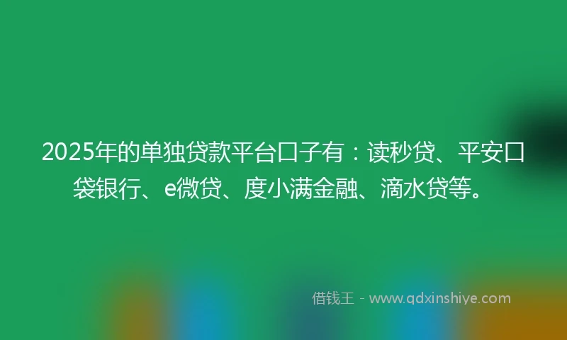 2025年的单独贷款平台口子有：读秒贷、平安口袋银行、e微贷、度小满金融、滴水贷等。