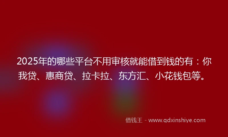 2025年的哪些平台不用审核就能借到钱的有：你我贷、惠商贷、拉卡拉、东方汇、小花钱包等。