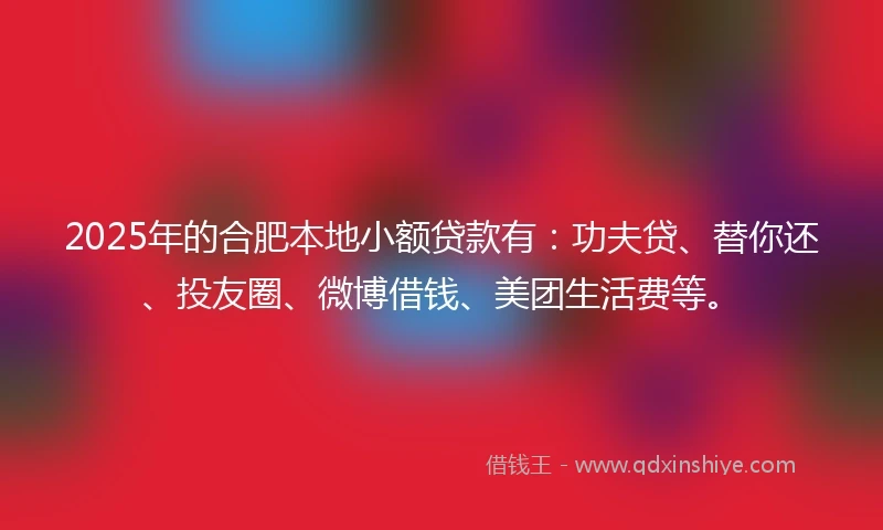 2025年的合肥本地小额贷款有：功夫贷、替你还、投友圈、微博借钱、美团生活费等。
