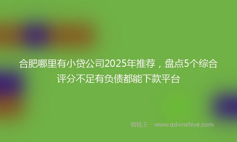 合肥哪里有小贷公司2025年推荐，盘点5个综合评分不足有负债都能下款平台