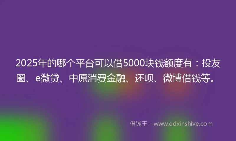 2025年的哪个平台可以借5000块钱额度有：投友圈、e微贷、中原消费金融、还呗、微博借钱等。