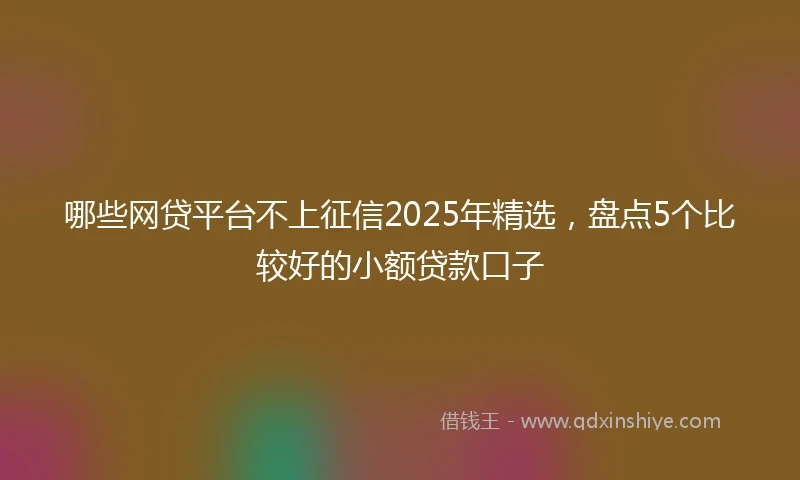 哪些网贷平台不上征信2025年精选,盘点5个比较好的小额贷款口子