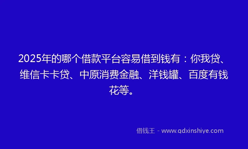 2025年的哪个借款平台容易借到钱有：你我贷、维信卡卡贷、中原消费金融、洋钱罐、百度有钱花等。
