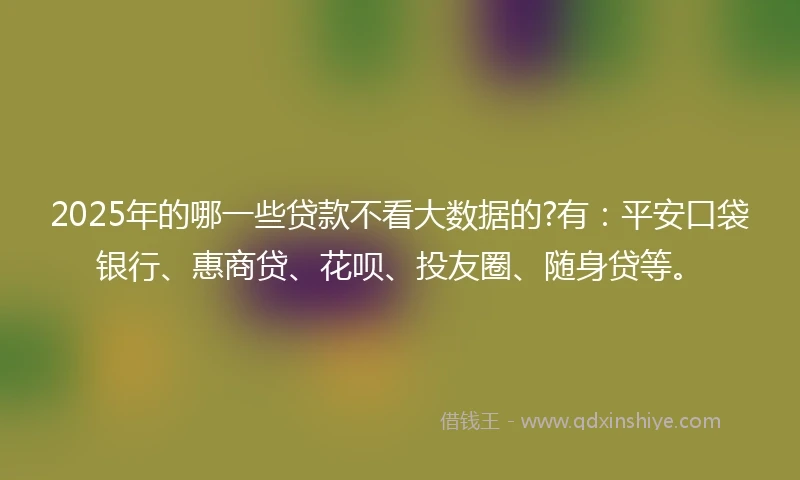 2025年的哪一些贷款不看大数据的?有：平安口袋银行、惠商贷、花呗、投友圈、随身贷等。