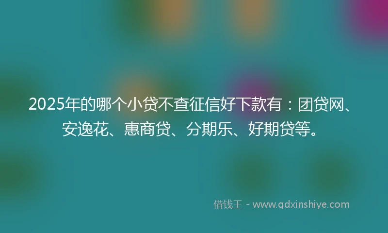 2025年的哪个小贷不查征信好下款有：团贷网、安逸花、惠商贷、分期乐、好期贷等。