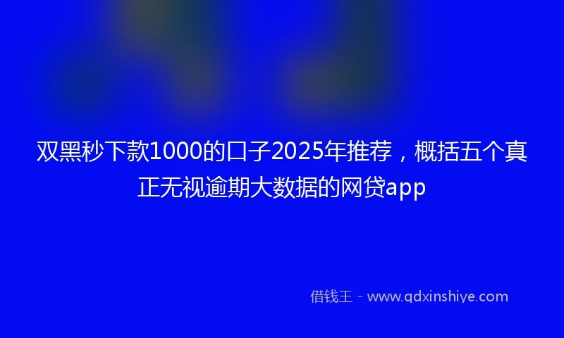 双黑秒下款1000的口子2025年推荐，概括五个真正无视逾期大数据的网贷app