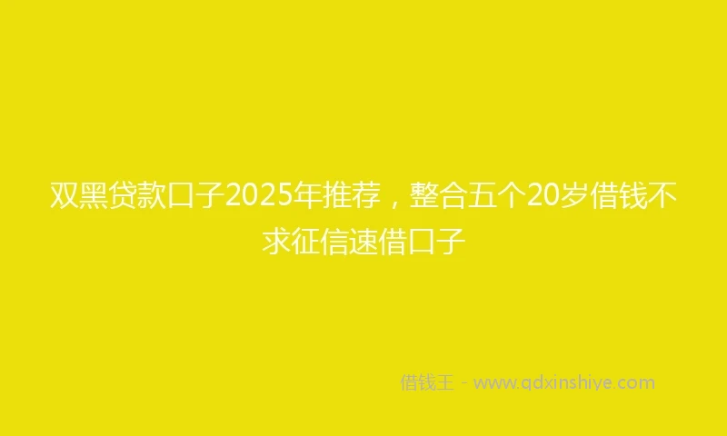 双黑贷款口子2025年推荐，整合五个20岁借钱不求征信速借口子