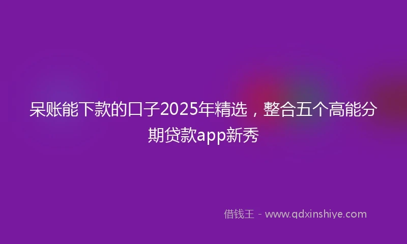 呆账能下款的口子2025年精选，整合五个高能分期贷款app新秀