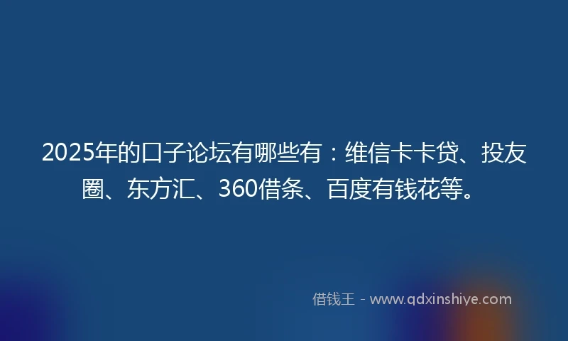 2025年的口子论坛有哪些有：维信卡卡贷、投友圈、东方汇、360借条、百度有钱花等。