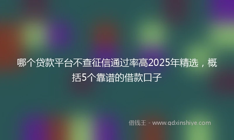 哪个贷款平台不查征信通过率高2025年精选，概括5个靠谱的借款口子