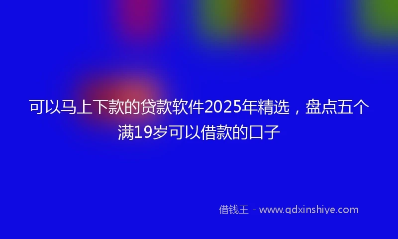 可以马上下款的贷款软件2025年精选，盘点五个满19岁可以借款的口子