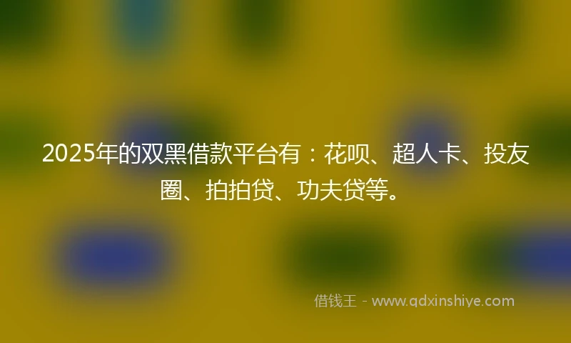 2025年的双黑借款平台有：花呗、超人卡、投友圈、拍拍贷、功夫贷等。