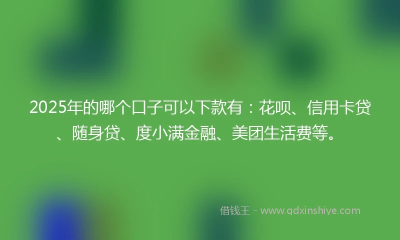 2025年的哪个口子可以下款有：花呗、信用卡贷、随身贷、度小满金融、美团生活费等。