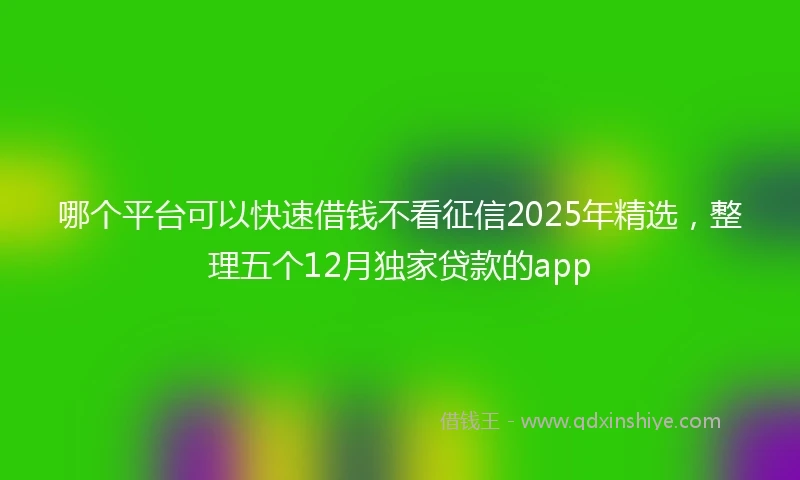 哪个平台可以快速借钱不看征信2025年精选，整理五个12月独家贷款的app