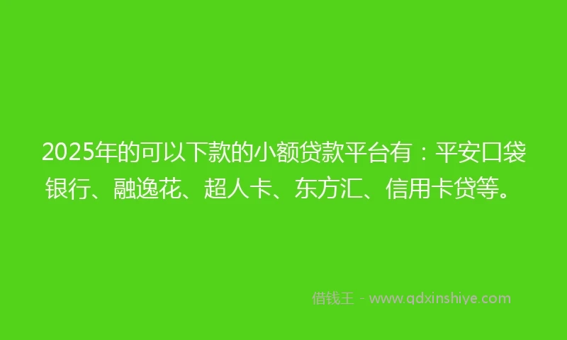 2025年的可以下款的小额贷款平台有：平安口袋银行、融逸花、超人卡、东方汇、信用卡贷等。