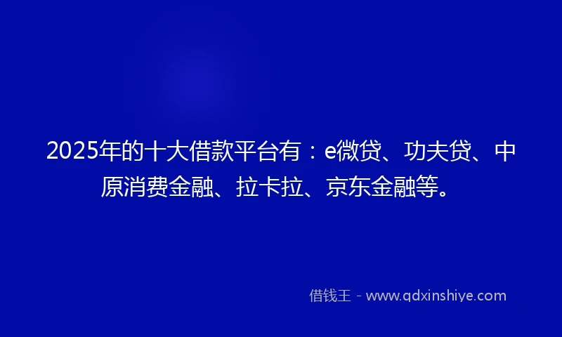 2025年的十大借款平台有：e微贷、功夫贷、中原消费金融、拉卡拉、京东金融等。