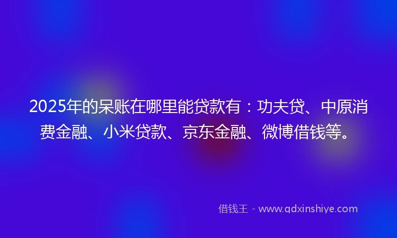 2025年的呆账在哪里能贷款有：功夫贷、中原消费金融、小米贷款、京东金融、微博借钱等。