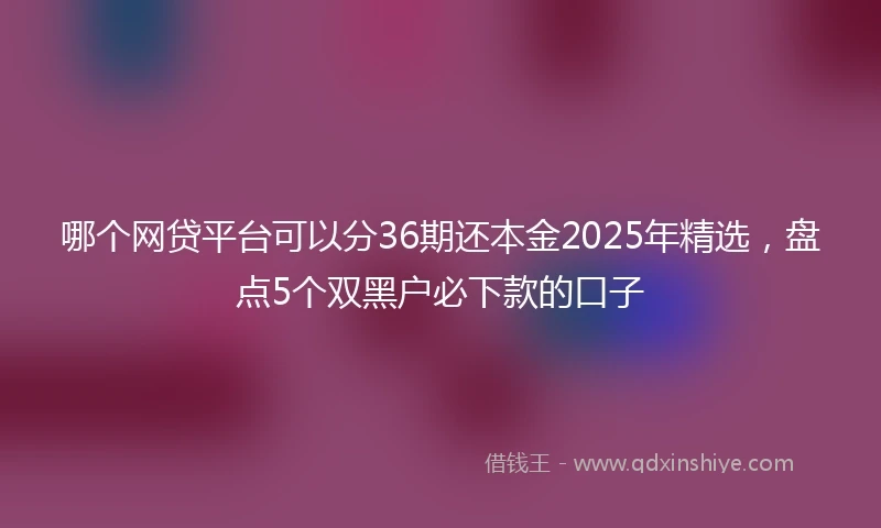 哪个网贷平台可以分36期还本金2025年精选，盘点5个双黑户必下款的口子