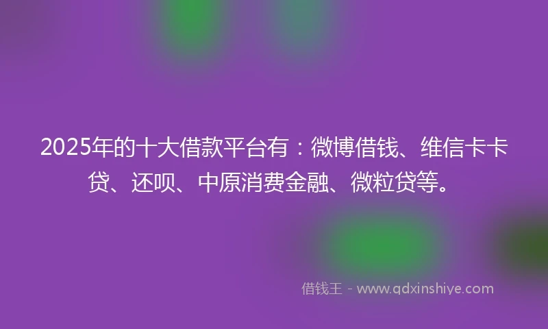 2025年的十大借款平台有：微博借钱、维信卡卡贷、还呗、中原消费金融、微粒贷等。