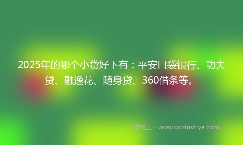 2025年的哪个小贷好下有：平安口袋银行、功夫贷、融逸花、随身贷、360借条等。
