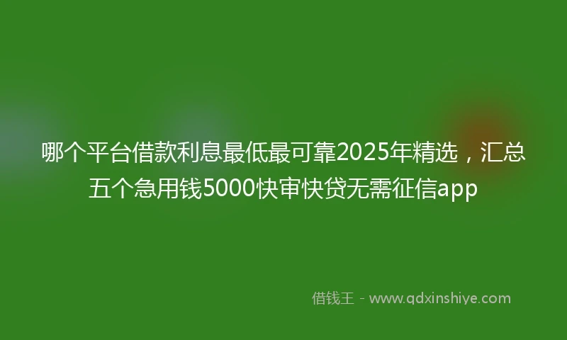 哪个平台借款利息最低最可靠2025年精选，汇总五个急用钱5000快审快贷无需征信app