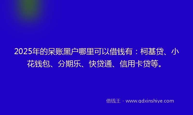 2025年的呆账黑户哪里可以借钱有：柯基贷、小花钱包、分期乐、快贷通、信用卡贷等。