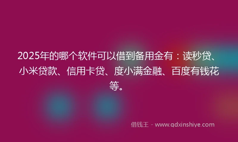2025年的哪个软件可以借到备用金有：读秒贷、小米贷款、信用卡贷、度小满金融、百度有钱花等。