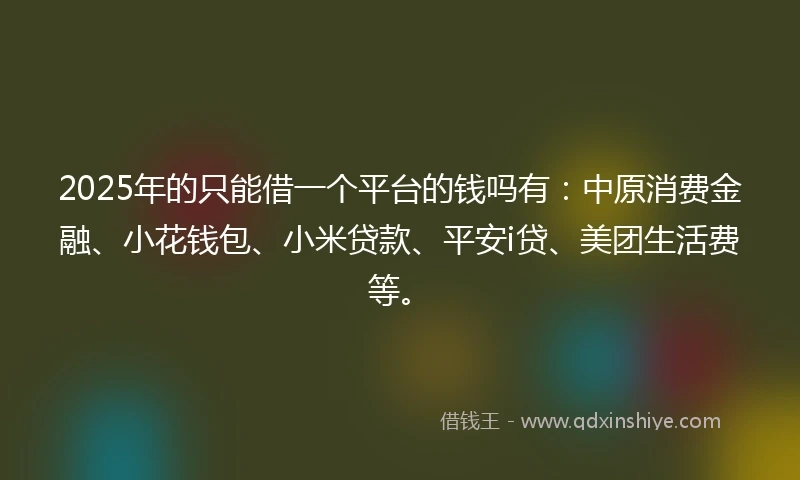 2025年的只能借一个平台的钱吗有：中原消费金融、小花钱包、小米贷款、平安i贷、美团生活费等。