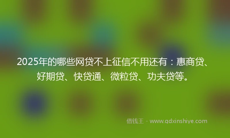 2025年的哪些网贷不上征信不用还有：惠商贷、好期贷、快贷通、微粒贷、功夫贷等。