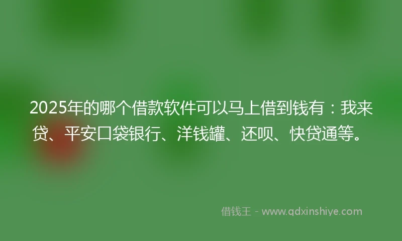 2025年的哪个借款软件可以马上借到钱有:我来贷、平安口袋银行、洋钱罐、还呗、快贷通等。