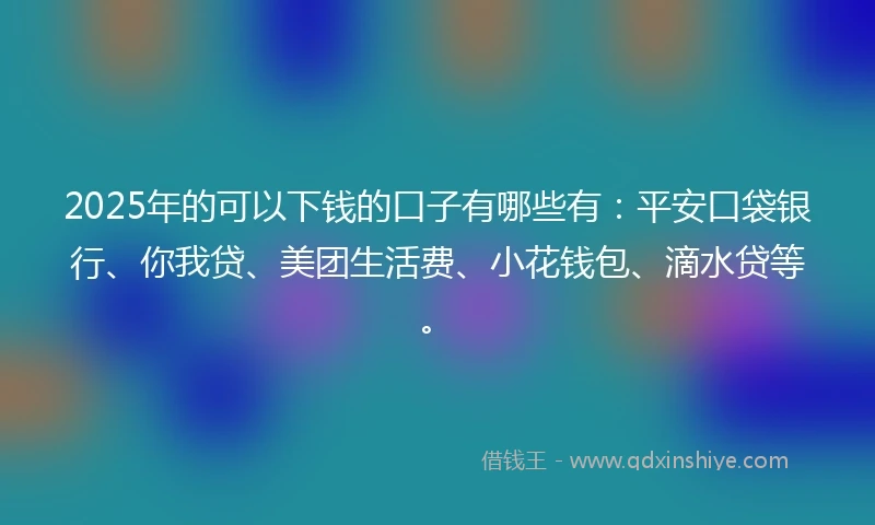 2025年的可以下钱的口子有哪些有：平安口袋银行、你我贷、美团生活费、小花钱包、滴水贷等。
