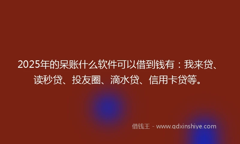 2025年的呆账什么软件可以借到钱有：我来贷、读秒贷、投友圈、滴水贷、信用卡贷等。